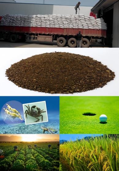 Tea Seed Meal