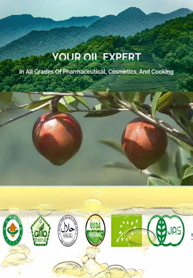 Camellia Oil